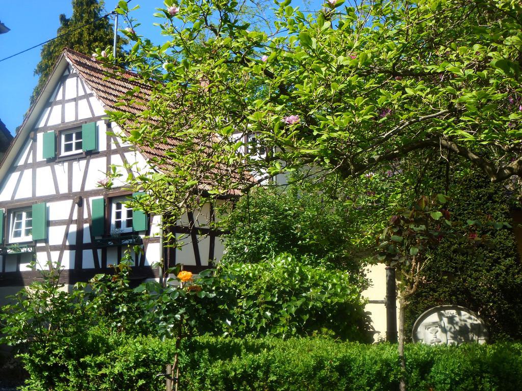 דורבאך Baumanns Landhaus מראה חיצוני תמונה